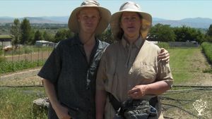 USDA Certified Organic strawberry and sugar-snap pea farm