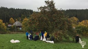 Vielseitiger Biobetrieb im Schwarzwald