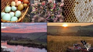 HOGWORTS GRADUATE WANTED: Busy family farm seeking happygolucky help with bees, goats, hens & more!