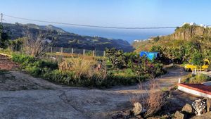 Family home and garden - rural