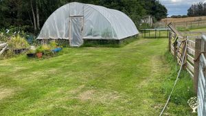 2 acre smallholding in the Scottish Highlands