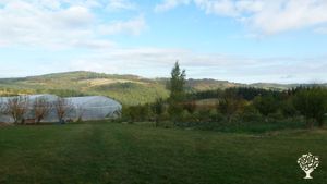 les serres