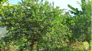 Agriculturist with Farm house