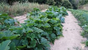 Azienda agricola, apicoltura e agriturismo in Toscana