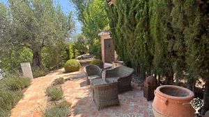Small finca in Granada province of mostly olive and orange trees. Aiming to become fully organic!
