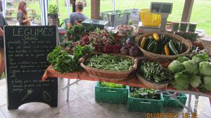 Ferme en Maraîchage Biologique sur Sols Vivants