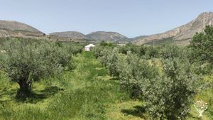 Proyecto de Permacultura en Vélez Blanco, Almería.