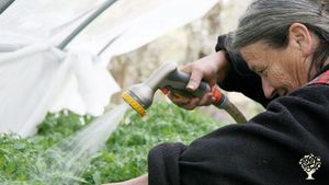 Exploitation horticole en culture biologique