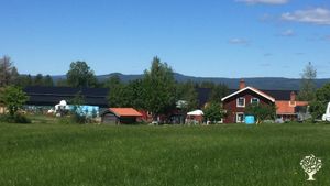 Certified organic sheep farm with 100 ewes. Learn about animal care, gardening & sustainable living.