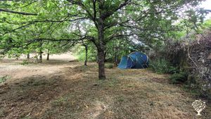 An Organic Spiritual Farm