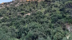 Casa contadina in campo biodinamico