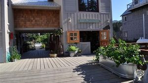 Experience life on a small plant nursery & grow vegetables in beautiful Seldovia, Alaska