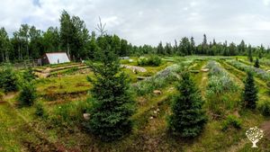 Berm and Swale System