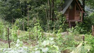 Eco Lodge/Wilderness Adventures