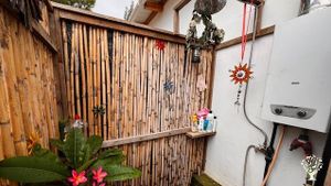 Transformational Organic Olive Farm