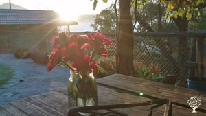 Azienda agricola biologica negli Appennini parmensi