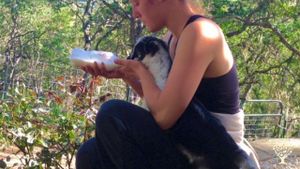 Hands-on homesteading with goats, poultry, gardens, cheese, bees, organic cooking and more...