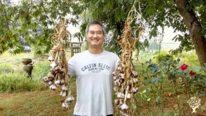 Towards a post-capitalist regenerative community