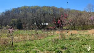 Agritourism, Vineyard, Orchard
