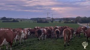 Family home and garden - rural, Livestock Farm, Orchard, Mixed Farm, Farm, Woodlot, Family farm