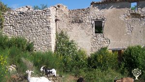 Ferme biologique certifiée Nature et Progrès
