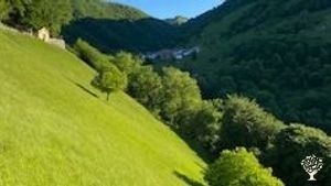 Azienda agricola bio di montagna (900 mslm)  con allevamento di pecore, api, asini.