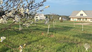 15-acre homestead B&B in Northern Michigan wine country.    Nature. Homesteading. Yoga.