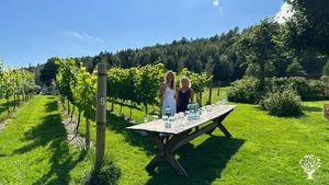 Ecological vineyard