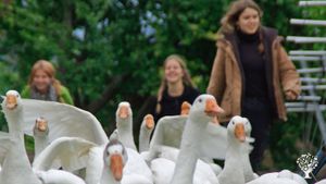 Natur-Erlebnis-Hof, Weinberg, Tierhaltung / Viehzucht, Obstgarten, Bauernhof, Waldstück