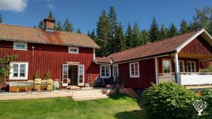 Family home and garden - urban