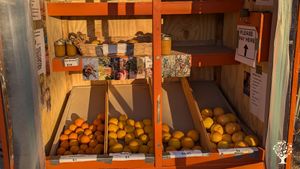 farm stand
