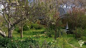 Permaculture Organic Gardens