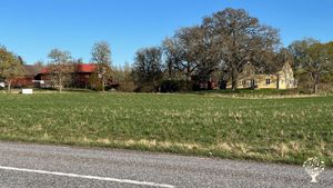 Småskalig gård med djur och lite växtodling. Regenerativ inriktning.