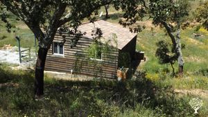 Logement des woffeurs.