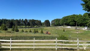 We are a U-pick Flower Farm located on a bluff overlooking beautiful Torch Lake, Michigan.
