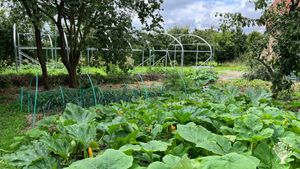 Ferme et gîte en cours de rénovation