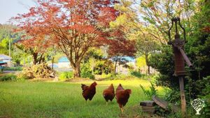 <CN121>추억이 싹트는 농장 / A Farm Where Memories Sprout.