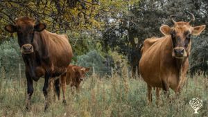 Granja Agroecológica Biodinámica