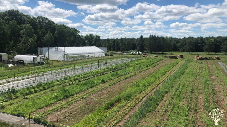 Image showcasing Apartment Roof Garden Design: Tips and Ideas for a Beautiful and ...
