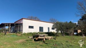 Family farm - permaculture, food autonomy, alternative medicine