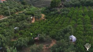 Sito ecoturistico, Orto, Frutteto, Olivi