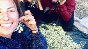 Smallholding, Vineyard, Mixed Farm, Farm, Family farm