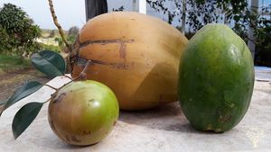 Super-farm located in the center of Oahu