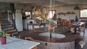 Ho un grande salone centrale al piano terra.

I have a big living at ground floor.