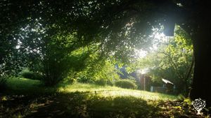 Family home and garden - rural