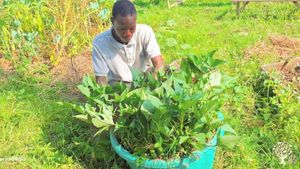 🌱 Urban Farming, Rural Impact
At Growing Hope Organic Farm & Permaculture Center . 
