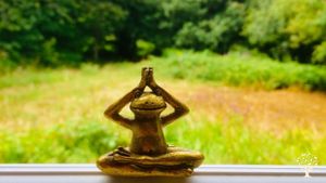 House, garden and woodland creative well-being retreat