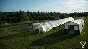 Maison familiale et jardin - rural, Propriété familiale, Petite exploitation, Jardin maraîcher