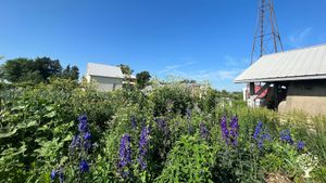 3 acre diversified fruit and vegetable production, orchard, 8 acre prairie reconstruction