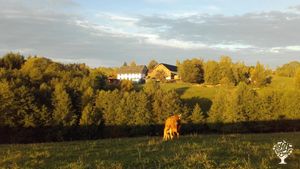 Bio-Bauernhof und politische Kommune im Schwarzwald
